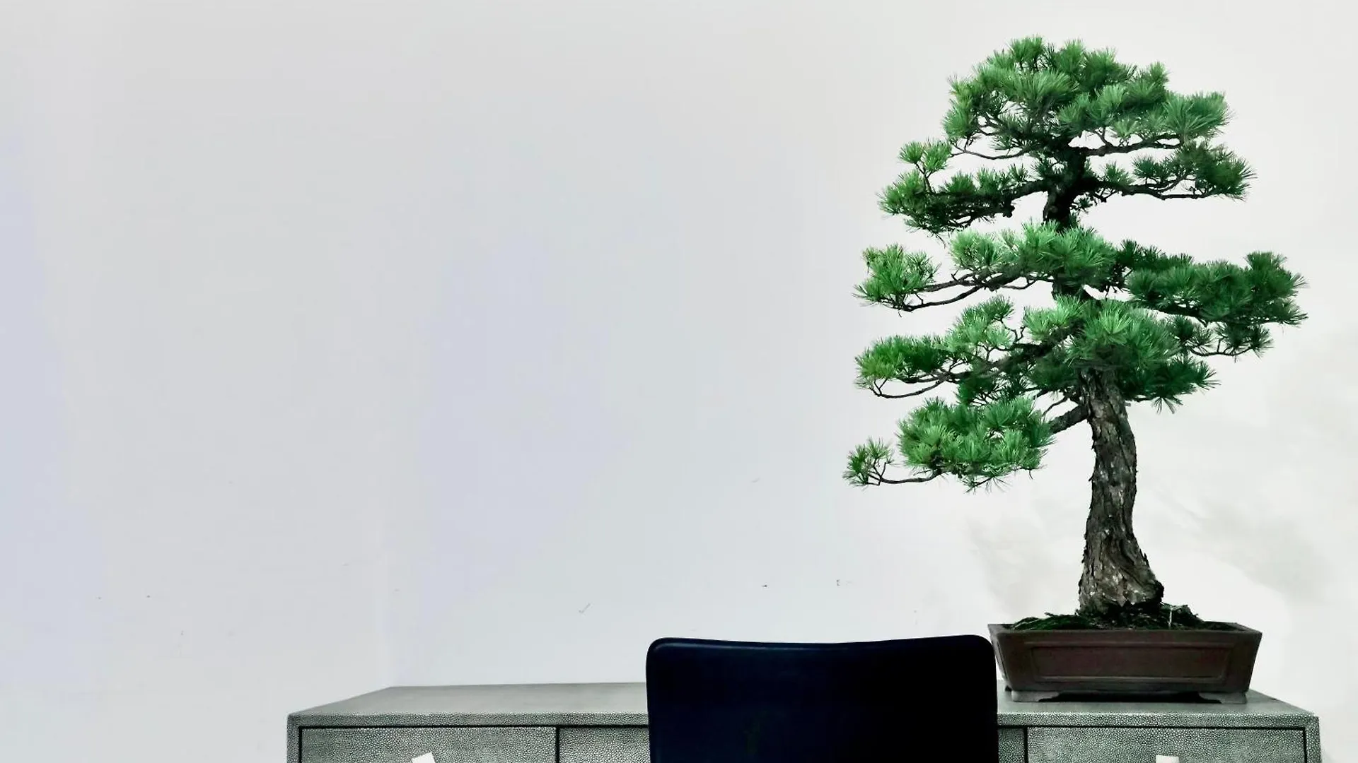 The Root2 Hotel Kyoto